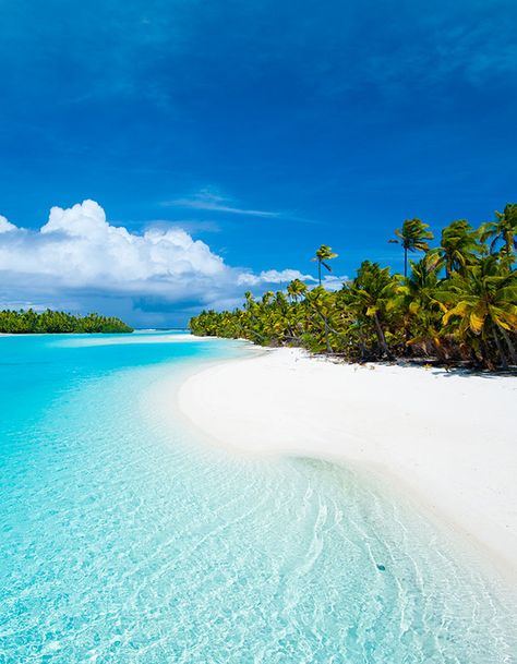 Aitutaki, Cook Islands Clear Blue Water, Tropical Beaches, Blog Instagram, Crystal Blue, Cook Islands, Alam Yang Indah, In The Ocean, Bora Bora, Tropical Islands