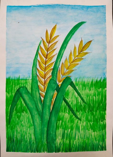 #painting #rice #ricecrop #paddy #paddyfield #landscape #drawing Rice Crop Drawing, Rice Terraces Drawing Easy, Rice Drawing Easy, Rice Drawing, Rice Crop, Wind Drawing, Tats Ideas, Rice Paddy, New Images Hd