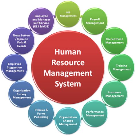 Image detail for -Human Resource Management System Human Resources Career, Human Resources Management, Human Resource Management System, Business Management Degree, Schools In America, Payroll Software, Human Resource Development, Organization And Management, Employee Management