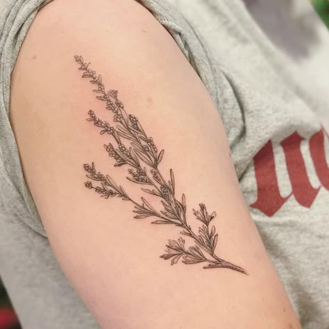 image of an upper arm with a sagebrush sprig tattoo Sage Brush Tattoo, Washington Tattoo, Sage Brush, Twin Tattoos, Brush Tattoo, Hiking Tattoo, Scar Tattoo, Plant Tattoo, Leg Tattoos Women