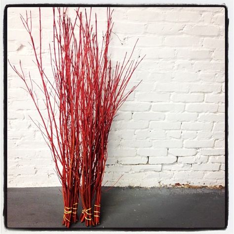 Red Dogwood Decor, Red Twig Dogwood Christmas Decor, Red Osier Dogwood Basket, Red Twig Dogwood Crafts, Cornus Sericea, Winter Containers, Walkway Garden, Red Dogwood, Red Twig Dogwood