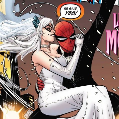 Spider Man And Black Cat, Black Cat Comics, Spiderman Black Cat, Felicia Hardy, Black Cat Aesthetic, Black Cat Marvel, Black Spiderman, Dc Icons, Spectacular Spider Man