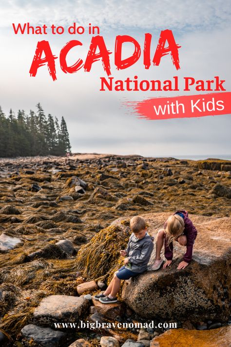 Acadia With Kids, Acadia National Park With Kids, Road Trip To Acadia National Park, Best Time To Visit Acadia National Park, Arcadia National Park Maine, North Cascades National Park With Kids, Acadia National Park Two Days, Arcadia National Park, Acadia National Park Camping