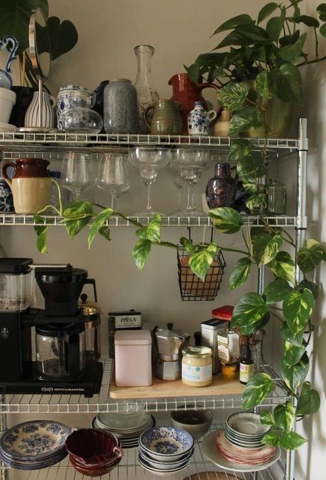 Save Space and Store More - 65 Genius Kitchen Organization Hacks | Hike n Dip Kitchen Storage Aesthetic, Countertop Organization Ideas, Kitchen Decor Aesthetic, Kitchen Organization Hacks, Aesthetic Plants, Messy Kitchen, Happy Kitchen, Kitchen Hacks Organization, Apartment Aesthetic