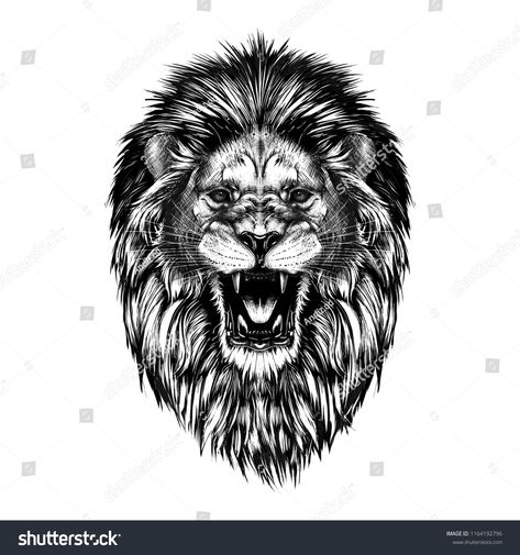 Hand drawn sketch of lion head in black isolated on white background.sketch#lion#Hand#drawn Roaring Lion Tattoo, Lioness Tattoo, Realistic Temporary Tattoos, Lion Head Tattoos, Fierce Animals, Lion Drawing, Forest Tattoos, Lion Tattoo Design, Roaring Lion