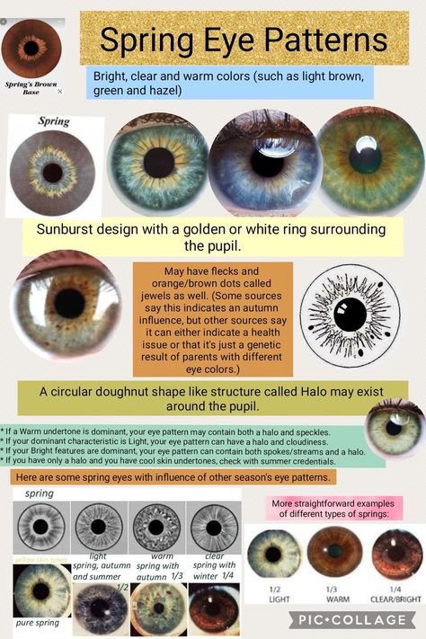 Summer Eye Patterns, Color Season Eye Pattern, Seasonal Eye Patterns, Spring Eye Pattern Color Analysis, Bright Winter Eyes, Seasonal Color Analysis Eyes, Light Spring Eyes, Eye Color Season Analysis, Winter Eye Pattern