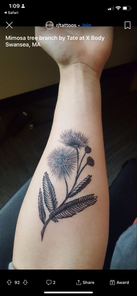 Mimosa Flower Tattoo, Mimosa Pudica, Inner Arm Tattoos, Literary Tattoos, Mimosa Flower, Flower Tattoo Designs, Easy Watercolor, Skin Art, Black Hand