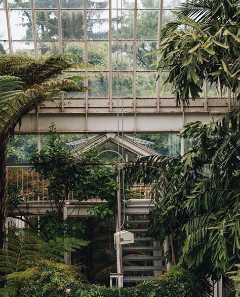 #aesthetic #green #wallpaper #popular #garden Big Green House, Conservatory Greenhouse, Lots Of Plants, Plants Growing, Garden Greenhouse, Green House, Greenhouses, House Hunting, Glass House