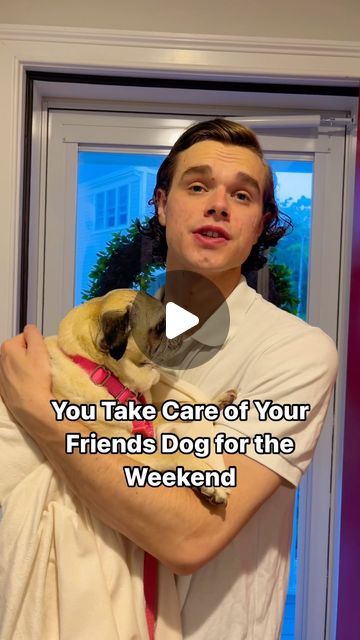 Zach Valencia on Instagram: "You Take Care of Your Friends Dog  #comedy #funny #funnyvideos #comedyvideos #comedyreels #dog #doglover #pug #puglife #dogreels #dogsofinstagram" Fat Pug, Brushing Dogs Teeth, Happy Pug, Human Dog Bed, Hair Tool Set, Facial Cleaning Brush, Pet Vacuum, Painless Hair Removal, Ear Health