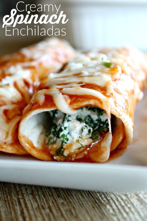 Creamy Spinach Enchiladas (Vegetarian!) Enchiladas Vegetarian, Enchiladas Mexicanas, Vegetarian Enchiladas Recipe, Spinach Enchiladas, Vegetarian Enchiladas, Cheese Enchiladas, Creamy Spinach, Enchilada Recipes, Spinach Recipes