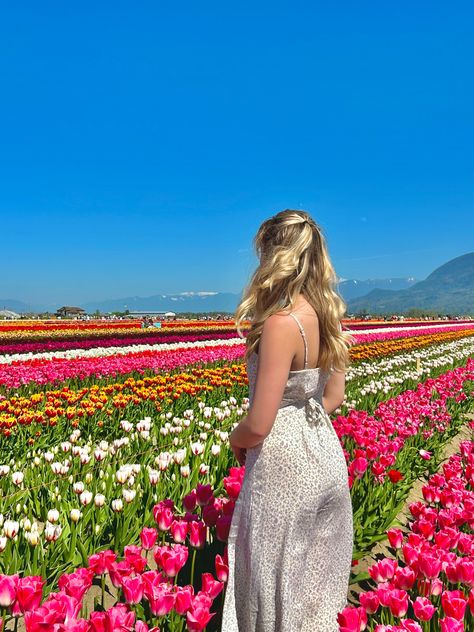 blonde girl in field of flowers Floral Girl Aesthetic, Soft Spring Aesthetic, Aesthetic Flower Field, Spring Picture Ideas, Pinterest Flowers, Spring Core, Outfit Ideas Aesthetic, Aesthetic 2024, Flowers Tulips