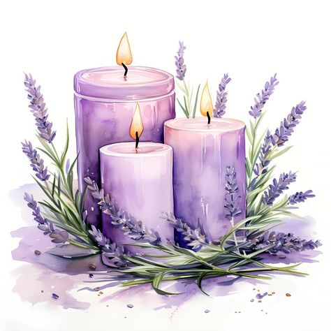 When To Plant Lavender, Plant Growth Stages, Lavender Plant Care, Lavender Epsom Salt, Flower Clipart Png, Flowers Clipart, Lavender Plant, Flower Clipart, Color Art