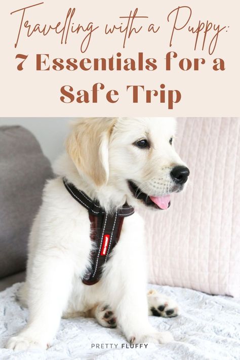 Travelling with a Puppy: 7 Essentials for a Safe Trip. Find puppy travel tips & more at prettyfluffy.com. Traveling With Puppy Road Trips, Puppy Travel Bag Packing Lists, Puppy Travel Essentials, Puppy Essentials Products, New Puppy Essentials, Puppy Travel Bag, Berry Ideas, Traveling With Pets, Puppy Essentials