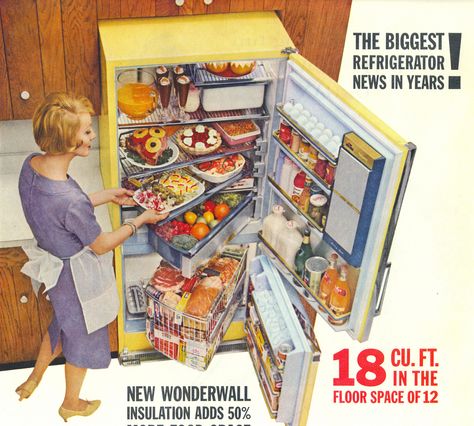 . Big Refrigerator, Eating Room, Roger Wilkerson, Vintage Kitchen Appliances, Vintage Homes, Kitchen Retro, Retro Appliances, Living Tv, Vintage Kitchens