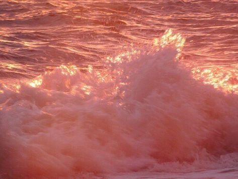 ocean pink waves Peach Aesthetic, Peachy Keen, Just Peachy, In The Ocean, Aphrodite, Peaches, Pink Aesthetic, My Aesthetic, The Ocean