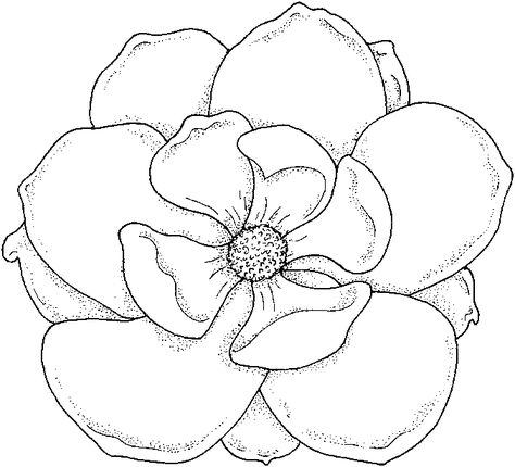 flower coloring boook  | Flower Coloring Pages for Kids Flower Coloring Pages coloring pages ... Hur Man Ritar Blommor, Pencil Drawings Easy, Plant Drawing, 자수 디자인, Flower Coloring Pages, Magnolia Flower, Stencil Art, Flower Art Painting, Coloring Book Pages