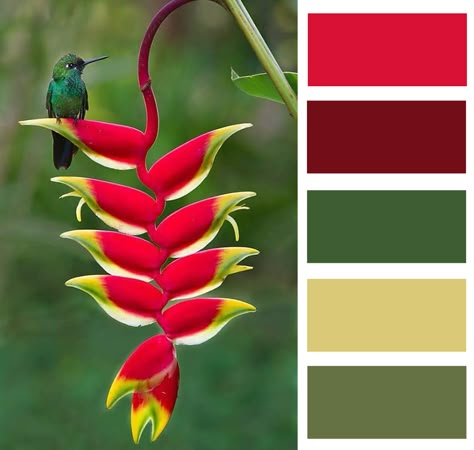 color palette Tropical Flowers Color Palette, Jungle Color Palette Tropical, Rainforest Colour Palette, Color Palette Challenge, Color Catalog, Paint Color Schemes, Color Schemes Colour Palettes, Good Color Combinations, Paint Color Palettes