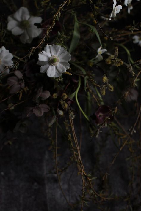 Dark Flower Garden Aesthetic, Dark Gardening Aesthetic, Dark Garden Aesthetic Night, Dark Plant Aesthetic, Dark Garden Aesthetic, Dark Spring Aesthetic, Dark Flower Aesthetic, Dark Fairytale Aesthetic, Dark Cottagecore Aesthetic