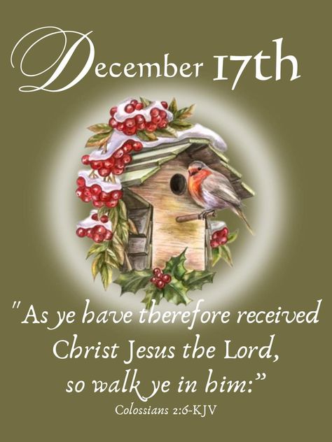 December Blessings Quotes, December Blessings, December Scriptures, Colossians 2, Daily Blessings, Blessed Quotes, King James Bible, December Daily, December 17