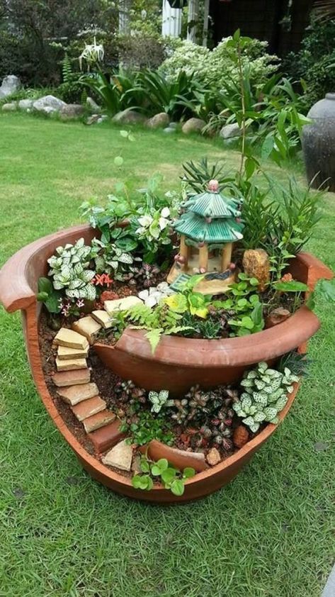 Fairy Garden Design Ideas, Food Museum, Funny Vine, Aesthetics Photography, Small Patio Decor, Fairy Garden Plants, Fairy Garden Designs, Art Night, Garden Types