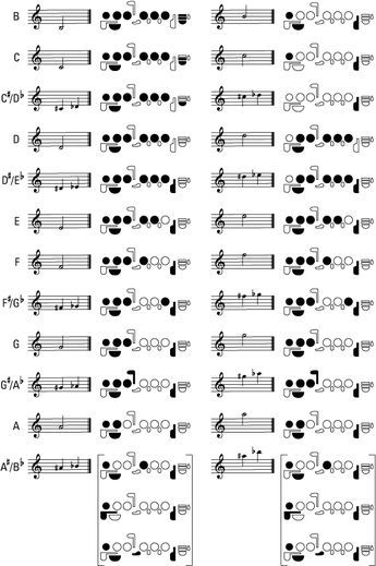 Flute Fingering Charts Flute Chords Chart, Learn How To Play The Flute, Learn Flute, Saxophone Fingering Chart, Flute Fingering Chart, Alto Saxophone Sheet Music, Flute Lessons, Teaching Orchestra, Music Theory Piano