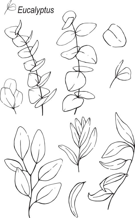 Eucalyptus Design Illustration, Eucalyptus Doodle, Plant Leaves Drawing, Eucalyptus Sketch, Herbs Logo, Line Hand Drawing, Eucalyptus Tattoo, Eucalyptus Illustration, Botanical Line Drawing