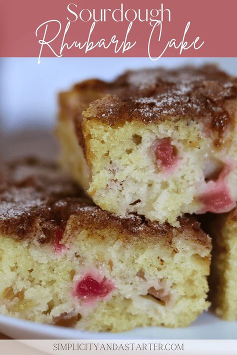 Moist Sourdough Rhubarb Cake Recipe  - Simplicity and a Starter Sourdough Rhubarb Cake, Sour Dough Rhubarb Cake, Sourdough Rhubarb Muffins, Sourdough Cake Recipes, Rhubarb Sourdough, Sourdough Rhubarb, Sourdough Pastries, Sourdough Sweets, Sourdough Cake