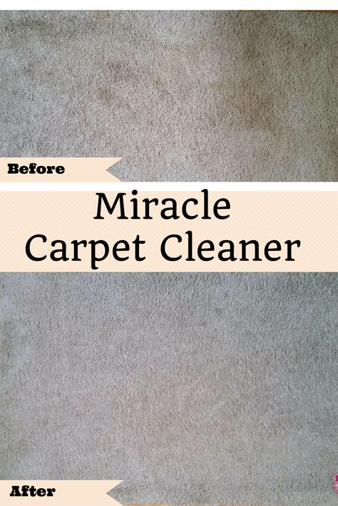 Chech out this Miracle Carpet Cleaner. It costs pennies to make and works great!! Diy Carpet Cleaner Solution, Carpet Diy, Carpet Cleaner Solution, Diy Carpet Cleaner, Natural Carpet, Diy Scrub, Household Cleaning Tips, Diy Carpet, Cleaning Recipes