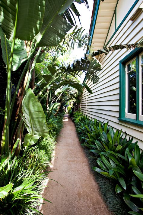 Low Maintenance Backyard, Casa Hobbit, Side Yard Landscaping, Tropical Garden Design, Tropical Gardens, Garden Wallpaper, Side Garden, Low Maintenance Garden, Small Yard