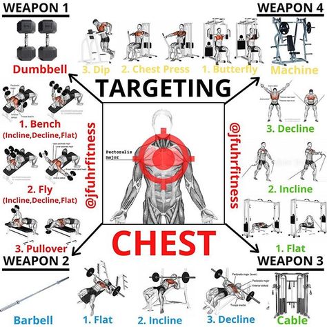 Targeting chest by (@jfuhrfitness)📍 Which exercise and equipment is your weapon of choice to target chest? Dumbbell Bench and dips for me… Chest Day Workout, Dumbbell Chest Workout, Chest And Tricep Workout, Chest Workout Women, Chest Workout For Men, Chest Workout Routine, Chest Exercises, Best Chest Workout, Arm Workouts