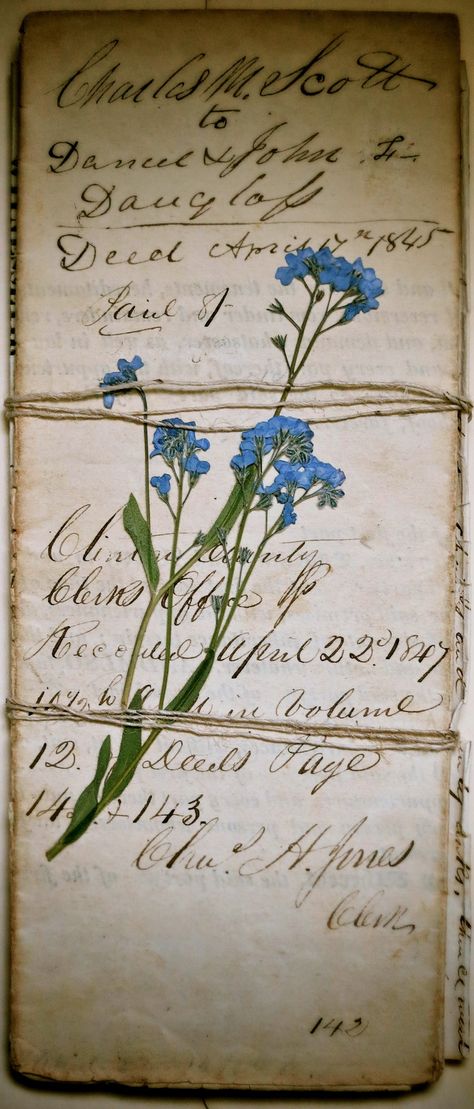 Pressed Forget Me Not, Herb Journal, Flower Press, Old Letters, Lost Art, Vintage Lettering, Old Paper, Mail Art, Forget Me Not