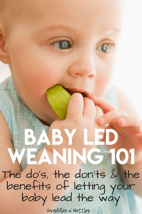 The Do's and Don't of Baby Led Weaning how to properly introduce solids to your baby. Baby Led Weaning Breakfast, Six Month Old Baby, Baby Led Weaning First Foods, Baby Feeding Chart, Baby Food Pouch Recipes, Baby Led Weaning Recipes, Baby First Foods, Introducing Solids, Baby Weaning