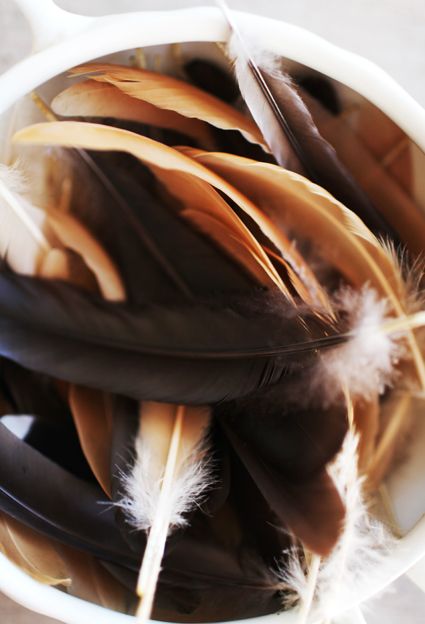 feathers.  www.originscollective.com Kara Rosenlund, Hope Is The Thing With Feathers, Feather Wings, Color Textures, Brown Beige, Bird Feathers, Earth Tones, Color Inspiration, Color Me