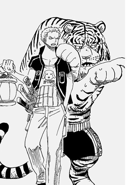 Zoro and tiger Zoro Tiger, One Piece English, Zoro Nami, Pirate King, One Piece Pictures, Japanese Manga Series, Roronoa Zoro, Cool Backgrounds, Awesome Anime