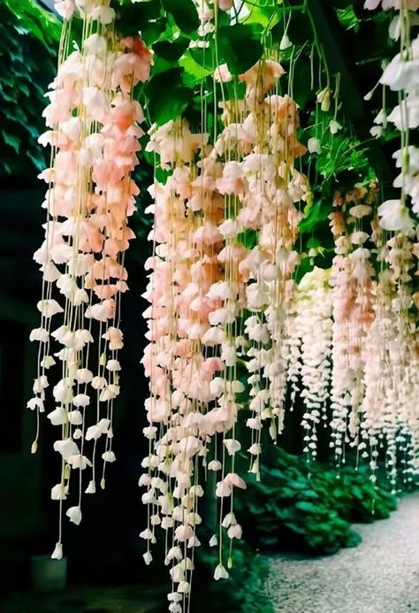 ♔ Bégonias Pleureurs - Weeping Begonias Weeping Begonia, Desired House, Pretty Flowers Pictures, Fairy Garden Plants, Vertical Garden Design, Lily Of The Valley Flowers, Valley Flowers, Balcony Plants, Favourite Flowers