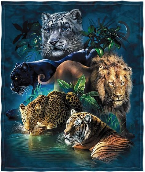 Amazon.com: HommomH 40"x50" Blanket Soft Fluffy Fleece Throw for Sofa Bed Tiger Leopard Lion : Home & Kitchen Lion Kingdom, Diamond Picture, Diamond Drawing, Cross Crafts, Kraf Diy, Diamond Mosaic, Cross Paintings, Wild Animals, 5d Diamond Painting