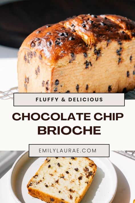 Chocolate Chip Brioche Bread Recipe, Chocolate Chip Yeast Bread, Easy Chocolate Chip Bread, Chocolate Chip Rolls, Chocolate Chip Bread Machine Recipes, Chocolate Chip Brioche Bread, Brioche Bread Machine, Chocolate Chip Brioche, Easy Bread Machine Recipes