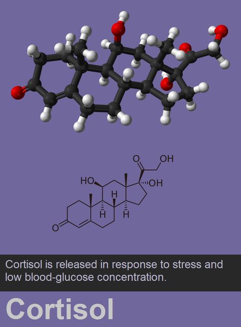 #Cortisol, is a steroid hormone, in the glucocorticoid class of hormones, and is produced in humans by the zona fasciculata of the adrenal cortex within the adrenal gland. Cortisol Hormone, Adrenal Gland, Adrenal Cortex, Adrenal Glands, Human