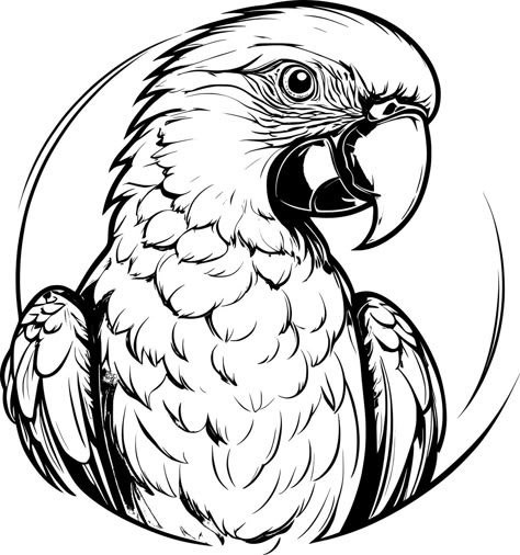 Download free HD stock image of Ai Generated Parrot Parrot Images, Parrot Coloring Page, Parrot Vector, Ara Parrot, Parrot Logo, Parrot Tattoo, Tattoo Meaningful, Color Knowledge, New Tattoo Designs