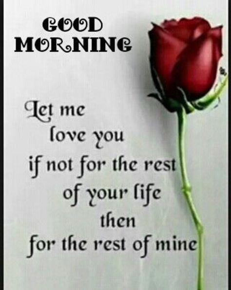 Good Morning! Here are 25 amazing good morning quotes to get your day started. Don't forget to send good morning wishes to a friend with one of our good morning quotes! Quote Girl, Single Red Rose, Cute Couple Quotes, Let Me Love You, Cute Romantic Quotes, My Funny Valentine, Love Is, Visual Statements, Couple Quotes