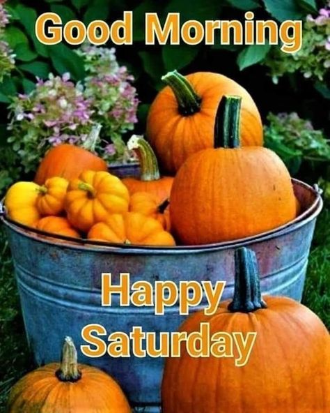 Good Morning Fall Images, Good Morning Fall, Good Morning Happy Weekend, Fall Greetings, Happy Saturday Quotes, Saturday Morning Quotes, Happy Saturday Morning, Happy Saturday Images, Weekly Quotes