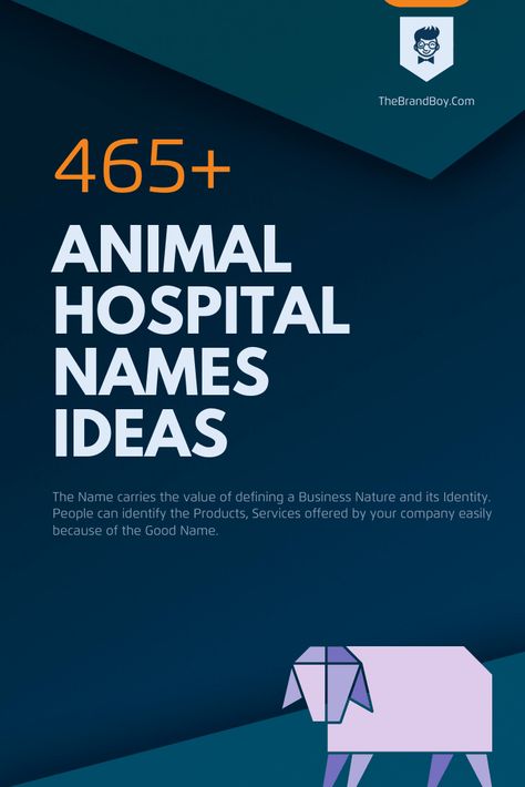 Vet Names: 885+ Best And Catchy Names Vet Clinic Name Ideas, Veterinary Logo Ideas, Veterinary Clinic Name Ideas, Creative Company Names, Dog Clinic, Veterinary Studies, Pet Hospital, Sanskrit Names, Hospital Health