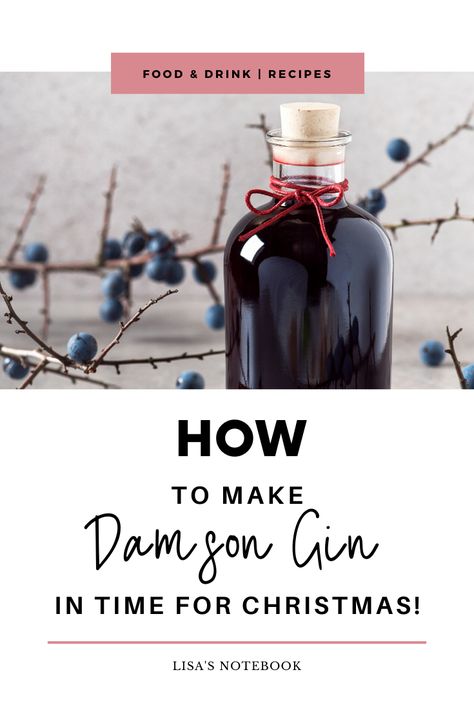 Damson Gin Recipe, Sloe Gin Recipe, Gin Recipe, Cocktails Christmas, Three Ingredient Recipes, Gin Liqueur, Gin Recipes, Coffee Filter Paper, Sloe Gin