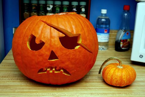 Pirate Pumpkin, Unique Pumpkin Carving Ideas, Cute Pumpkin Carving, Amazing Pumpkin Carving, Creative Pumpkin Carving, Easy Pumpkin Carving, Pumpkin Carving Designs, Pumpkin Carving Ideas, Halloween Pumpkin Designs