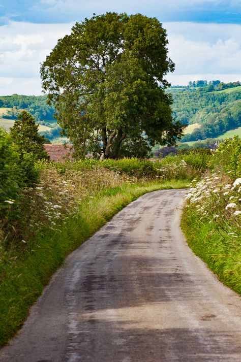 Country lane (no location given) by Dave Edmonds Deciduous Forest, Dirt Roads, Country Lane, Country Roads Take Me Home, Forest Hills, Middle Of Nowhere, Country Scenes, Country Side, Dirt Road