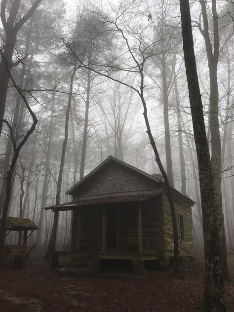 Spooky Cabin In The Woods, Creepy Cottage, Cabin In The Woods Creepy, Haunted House In The Woods, Scary Cabin In The Woods, Abandoned Shack In The Woods, The Cabin In The Woods, Scary Woods Aesthetic, Creepy Cabin Aesthetic