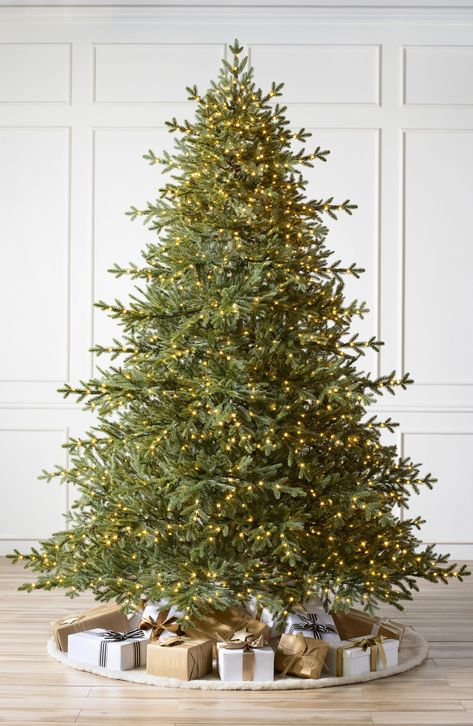 Celebrate the season with this stunning tree that's modeled after a classic Tennessee spruce. The scratch-proof rubber feet ensure it won't scratch your floors. Please complete your order by 2pm Pacific Standard Time on 12/14/24 for Christmas delivery Returns/exchanges accepted within 30 days of purchase or before December 25 (whichever comes first) 90" x 72" Polyethylene/PVC Imported 9 Ft Christmas Tree, 12 Ft Christmas Tree, Tennessee Mountains, Balsam Hill Christmas Tree, Tennessee Christmas, Best Artificial Christmas Trees, Christmas Tree Picks, 6ft Christmas Tree, Realistic Christmas Trees