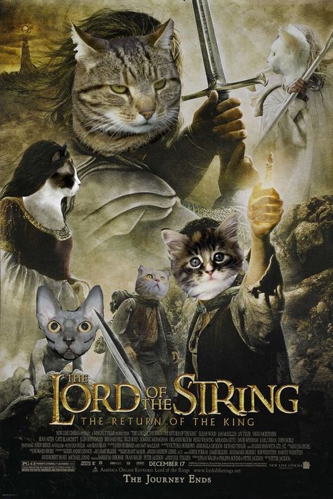 Lord of the String Learning Photoshop, Painting Cats, The Return Of The King, Kings Movie, Kitty Kisses, Cat Movie, Beau Film, Movies Worth Watching, Savannah Cat