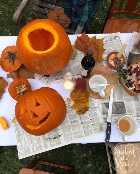 Fall Aesthetic Pictures, Autumn 23, Studera Motivation, Fall Boards, Fall Mood Board, Fall 23, Fall Bucket List, Pumpkin Spice Season, Season Of The Witch