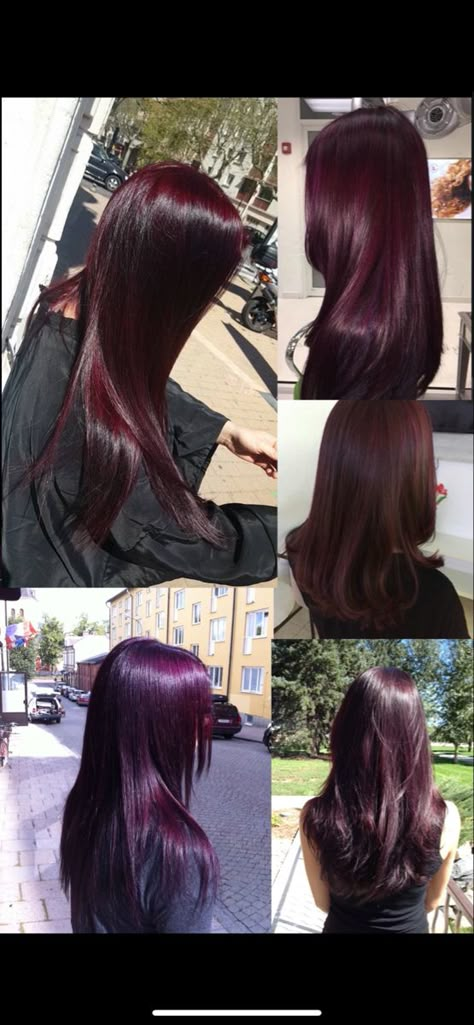 Dark Red And Dark Purple Hair, Cherry Red And Purple Hair, Dark Wine Purple Hair, Dark Vampire Red Hair, Dark Redish Purpleish Hair, Dark Purple Maroon Hair, Blackberry Red Hair, Maroon Violet Hair, Dark Purple On Black Hair